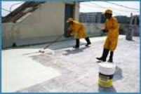 Acrylic Polymer
